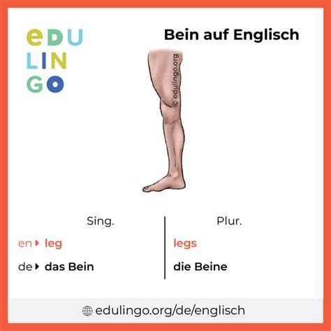 bein stellen englisch